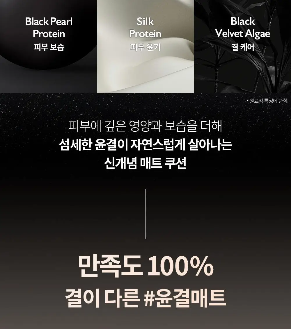 [신규컬러/블러시증정기획] 비디비치 블랙 퍼펙션 커버 핏 쿠션 기획 상세페이지 18